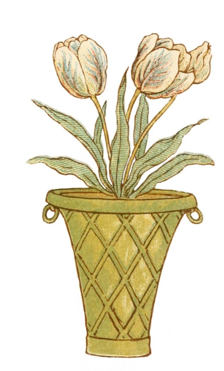 Pot of Tulips by Kate Greenaway Vintage Floral Drawing