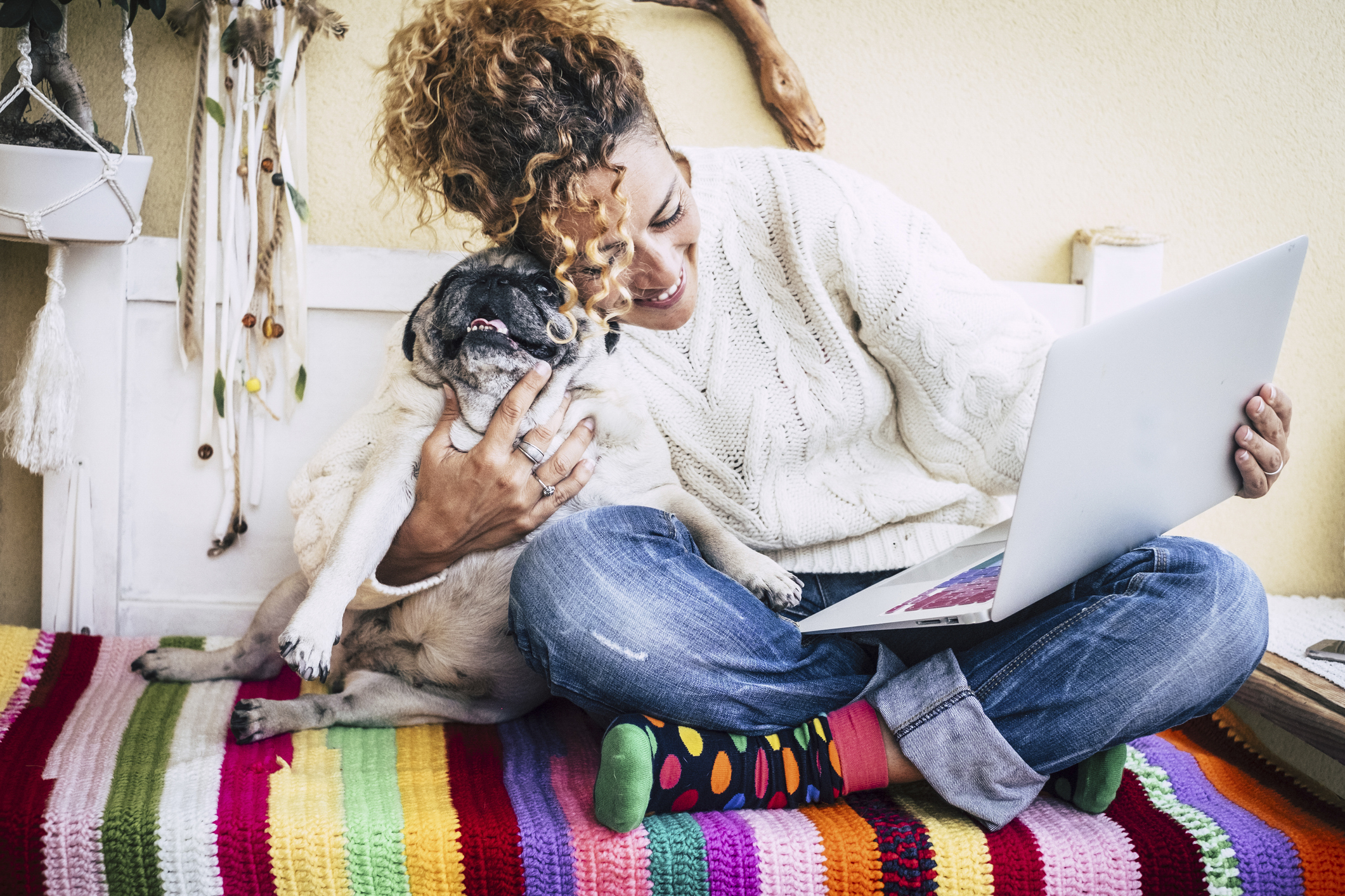 How to Choose PetCare Software for Your Small Business