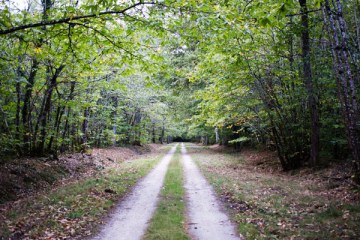 Sologne Environnement Nature