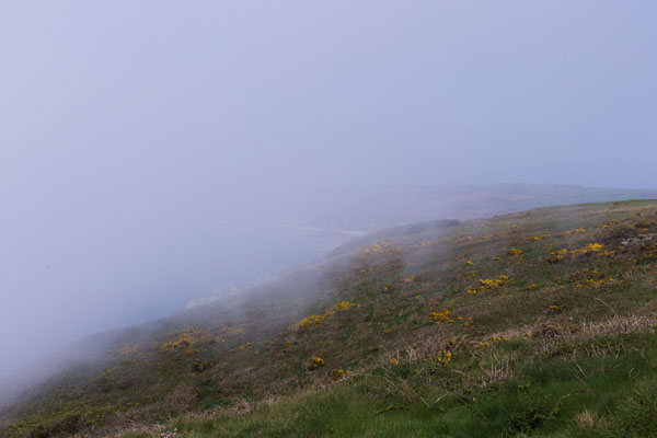 Nez de Jobourg sous la brume