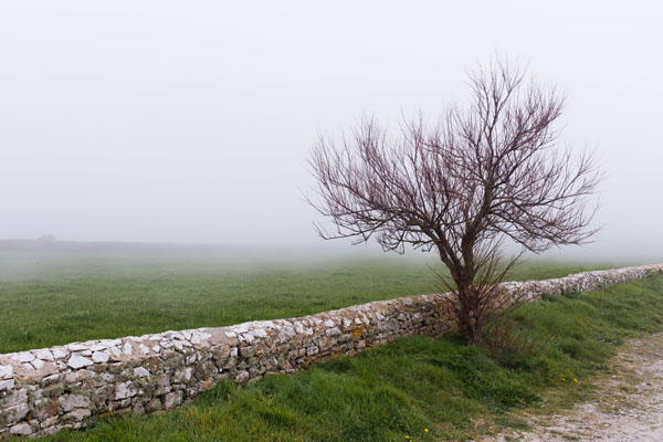 Nez de Jobourg sous la brume