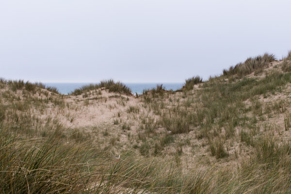 Dunes de Biville Manche