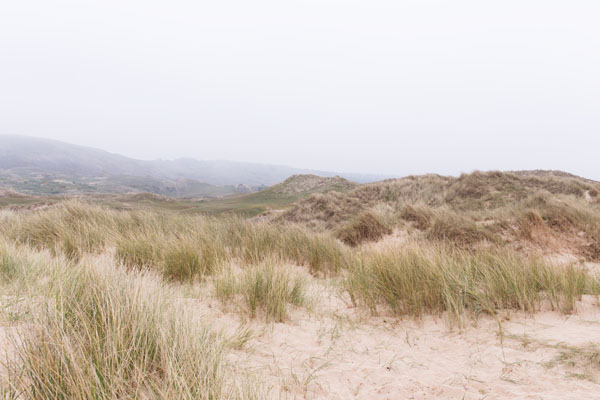 Dunes de Biville Manche