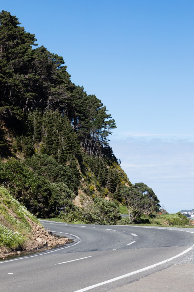 Baie de Wellington, NZ