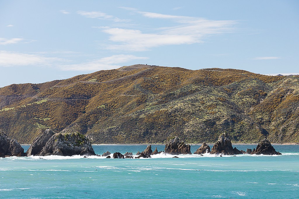 Baie de Wellington, NZ