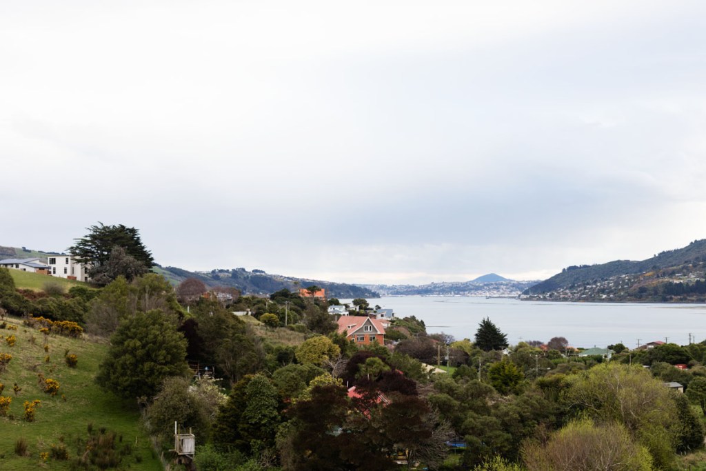 Otago Peninsula, Dunedin