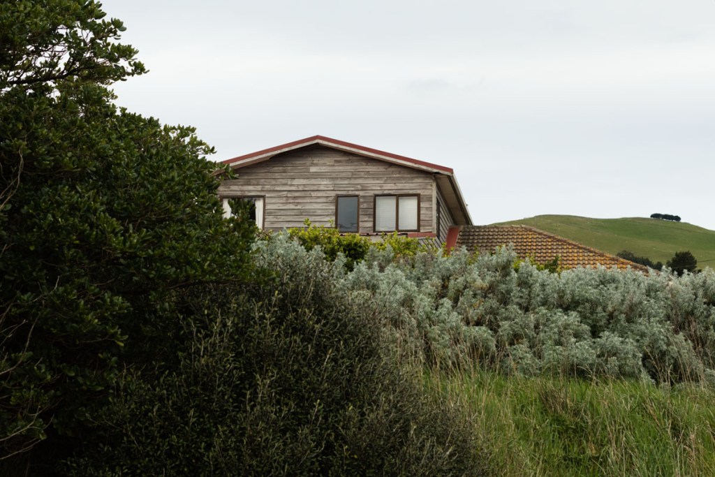 Otago Peninsula, Dunedin