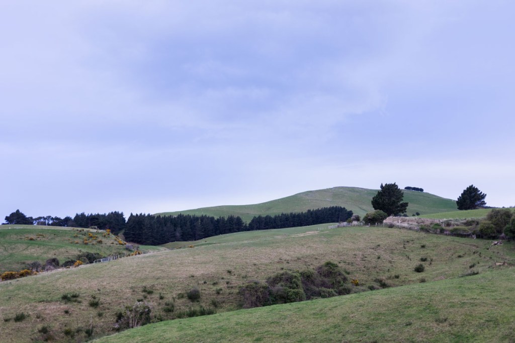 Otago Peninsula, Dunedin