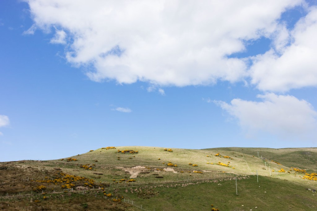 harrington point, dunedin