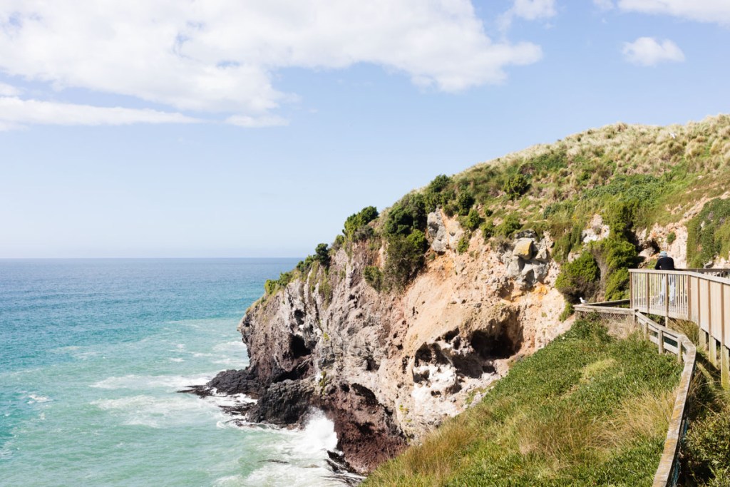 harrington point, dunedin