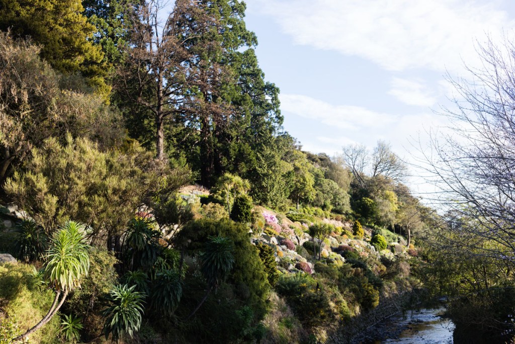 jardin botanique de Dunedin NZ