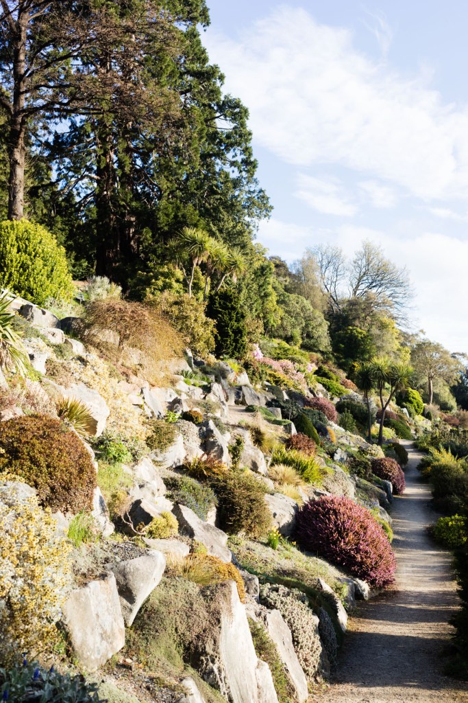 jardin botanique de Dunedin NZ