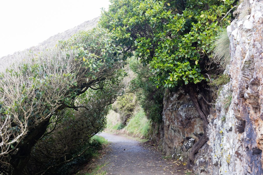 Nugget Point, Catlins NZ