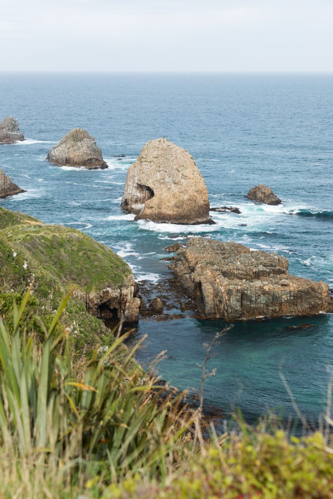 Nugget Point, Catlins NZ