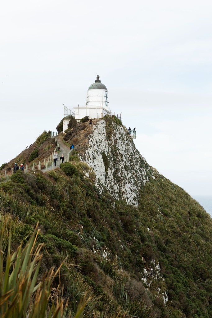 Nugget Point, Catlins NZ