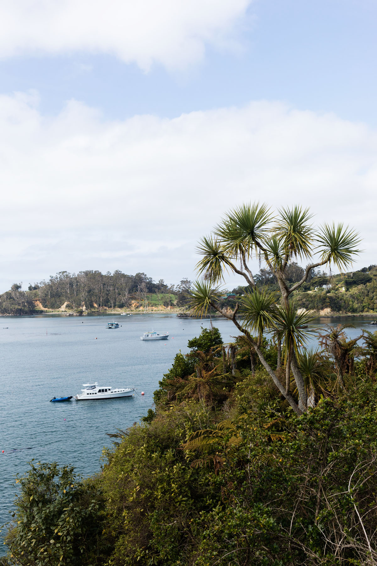 Halfmoon Bay, Stewart Island