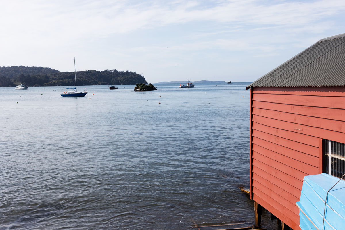 Halfmoon Bay, Stewart Island