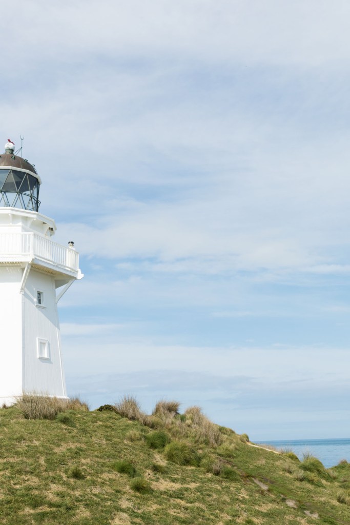 Waipapa Point Catlins NZ