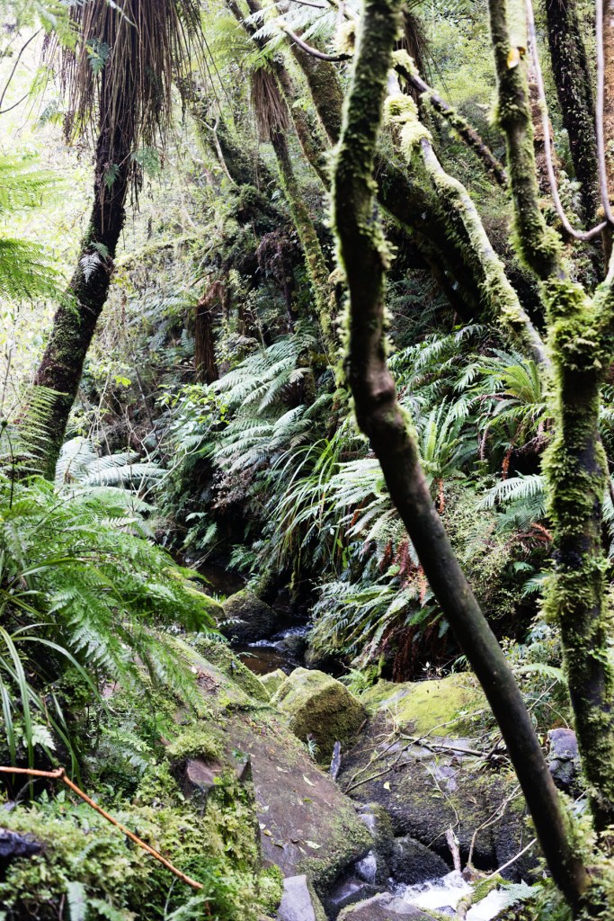 Koropuku Falls Catlins NZ