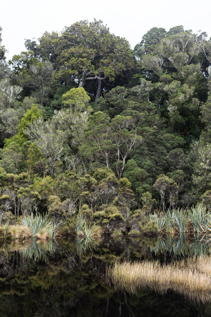 Lake Wilkie Catlins NZ