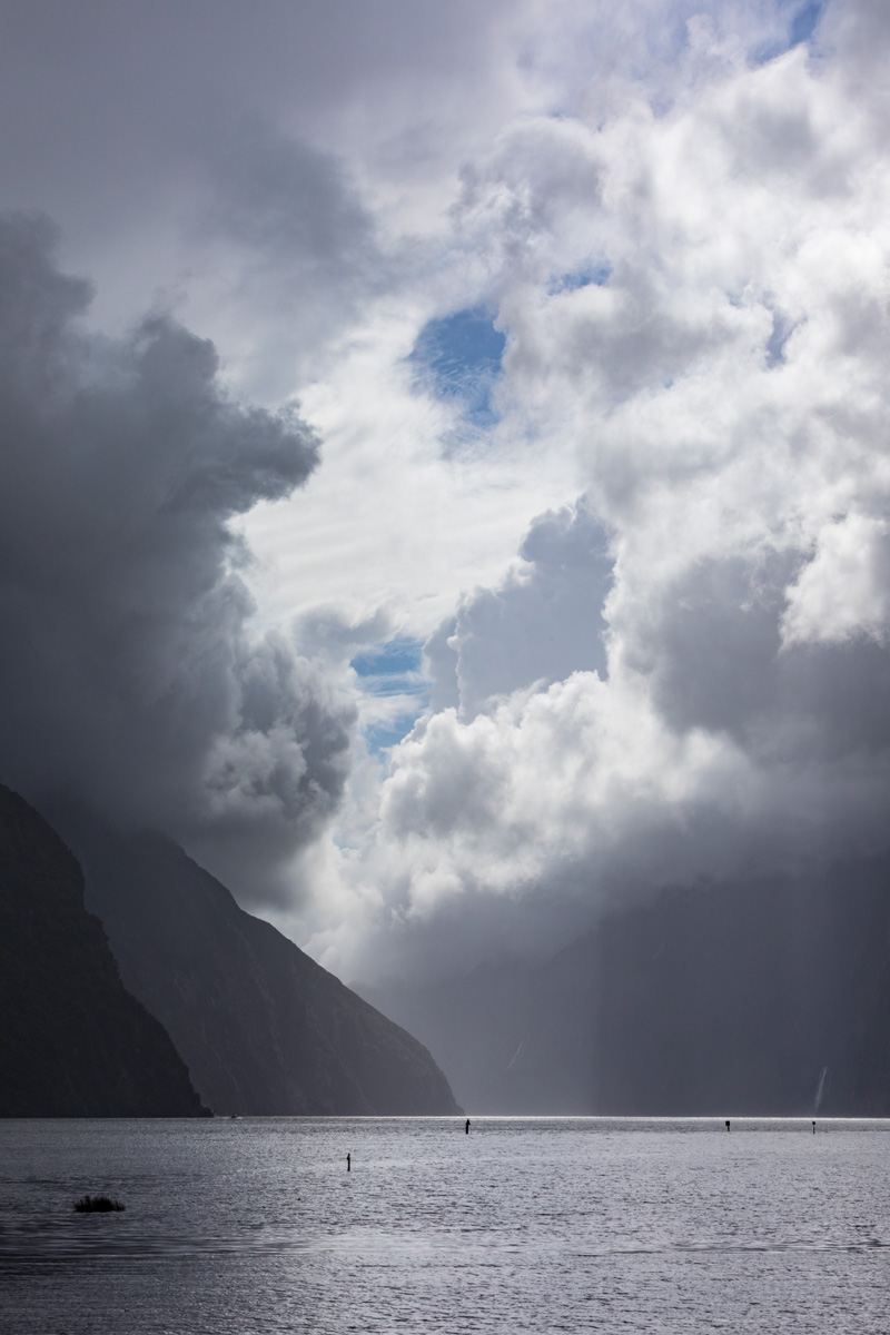 Southern Discoveries Milford Sound NZ