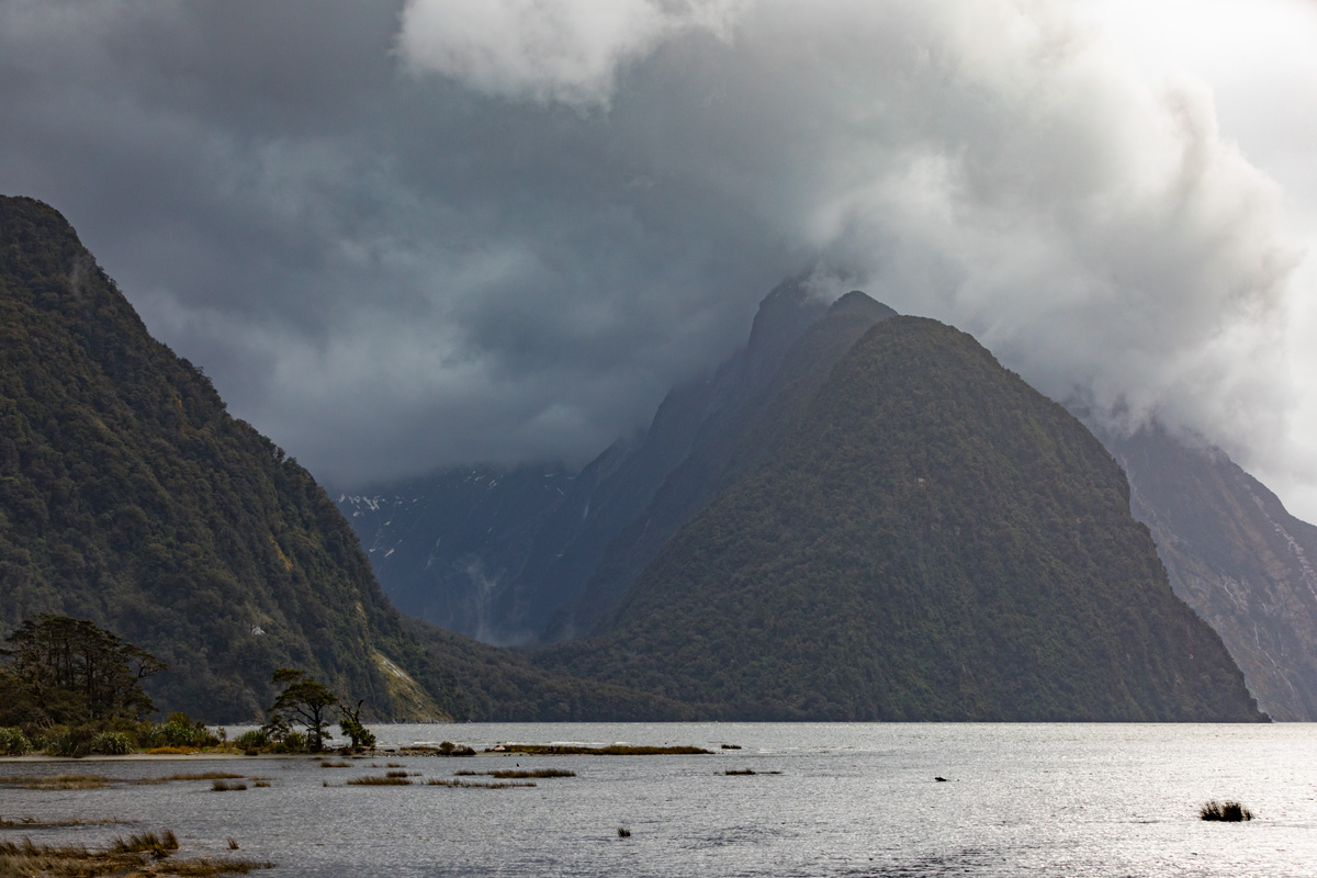 Southern Discoveries Milford Sound NZ