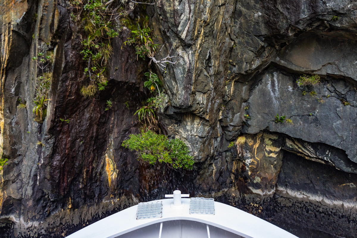 Southern Discoveries Milford Sound NZ