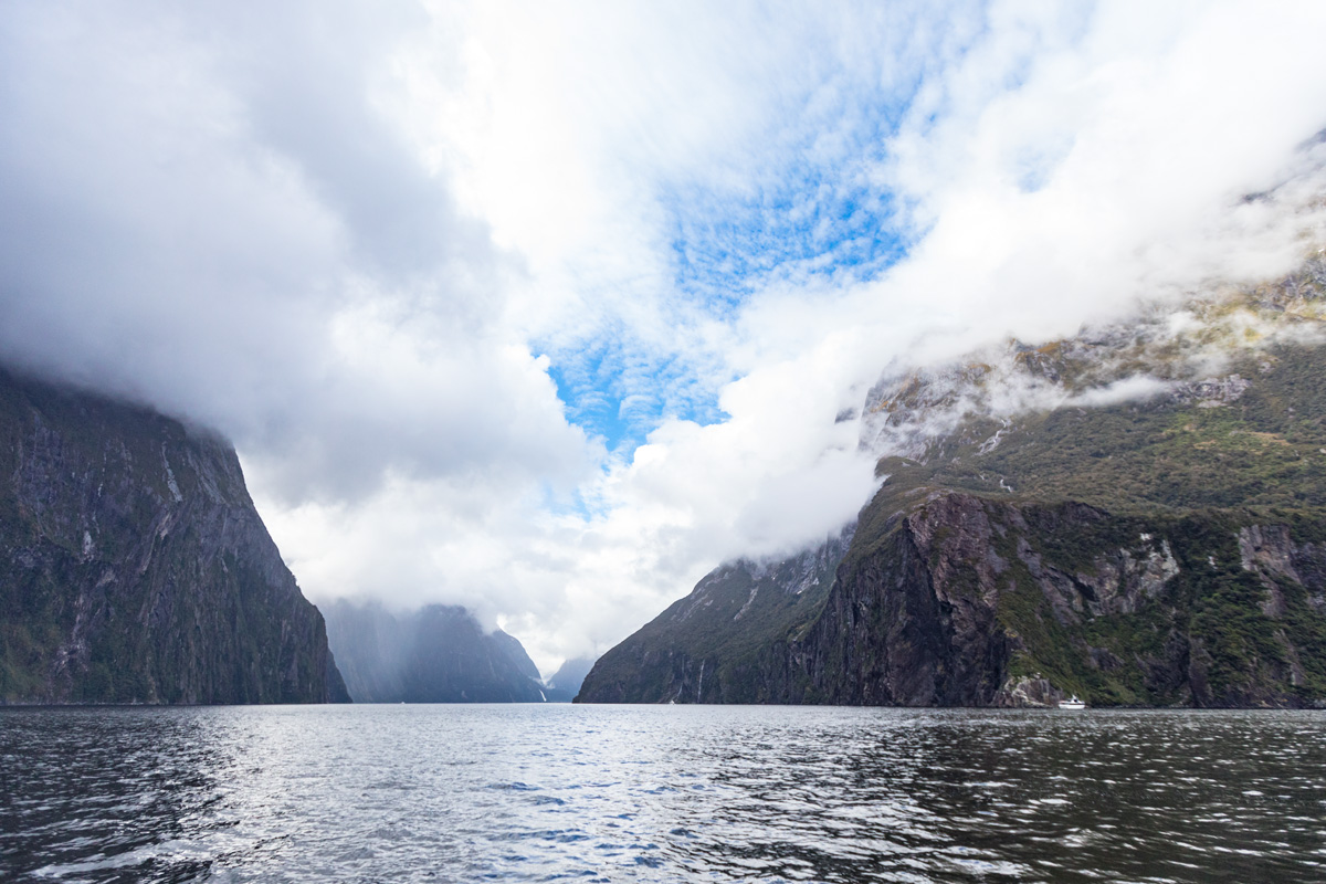 Southern Discoveries Milford Sound NZ