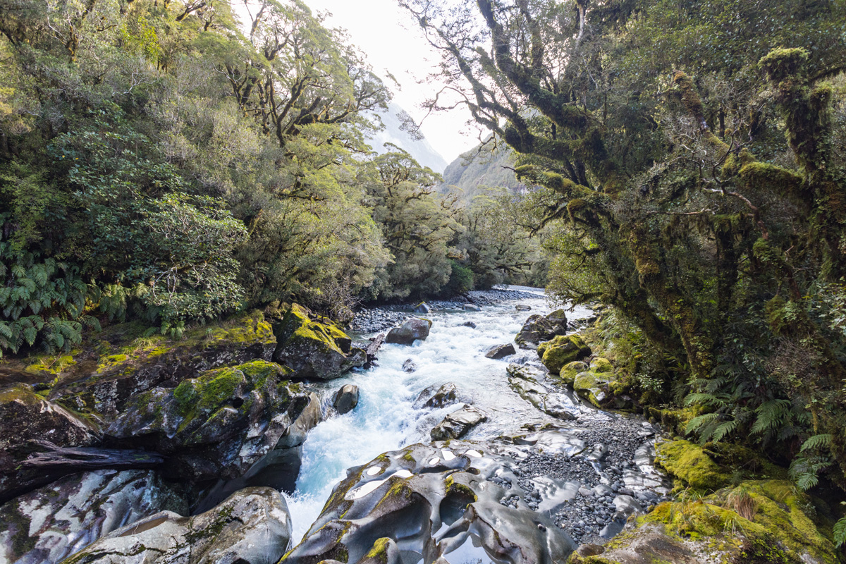 The Chasm Milford road