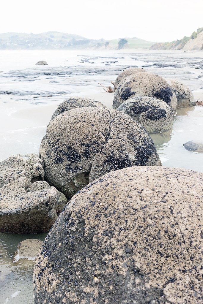 Koekohe beach moeraki boulders dunedin