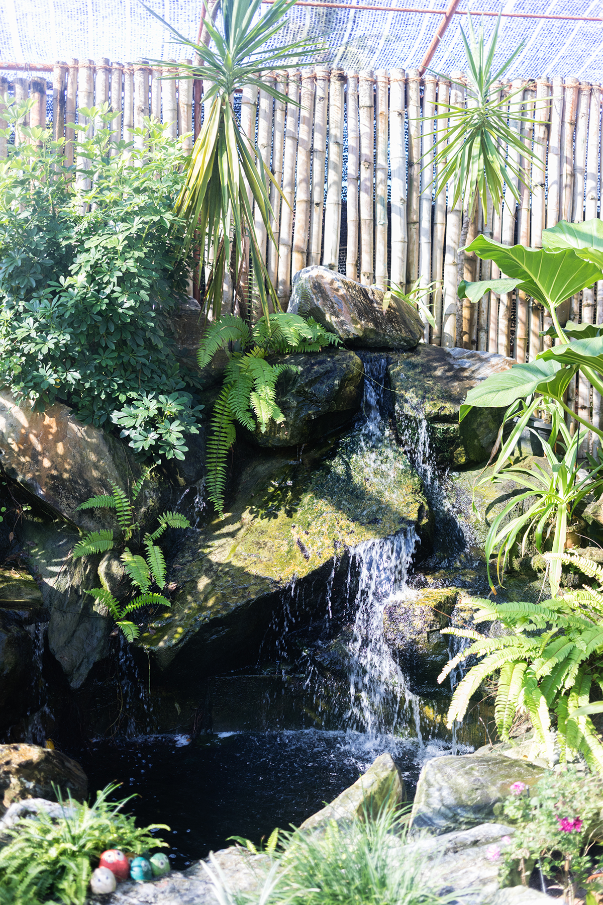 Jardin des Orchidées à Kurumba Maldives