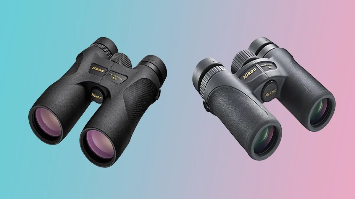 How To Focus Binoculars With Diopter Step By Guide]