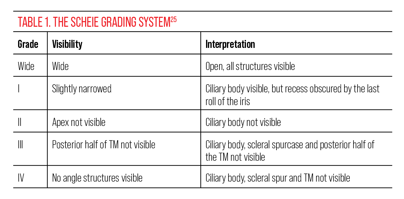 Managing Patients Across the NarrowAngle Spectrum