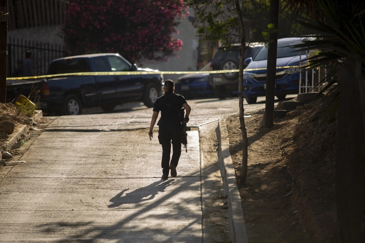 ‘Pacto con el crimen hace a Tijuana el más violento’ Revista Puntual