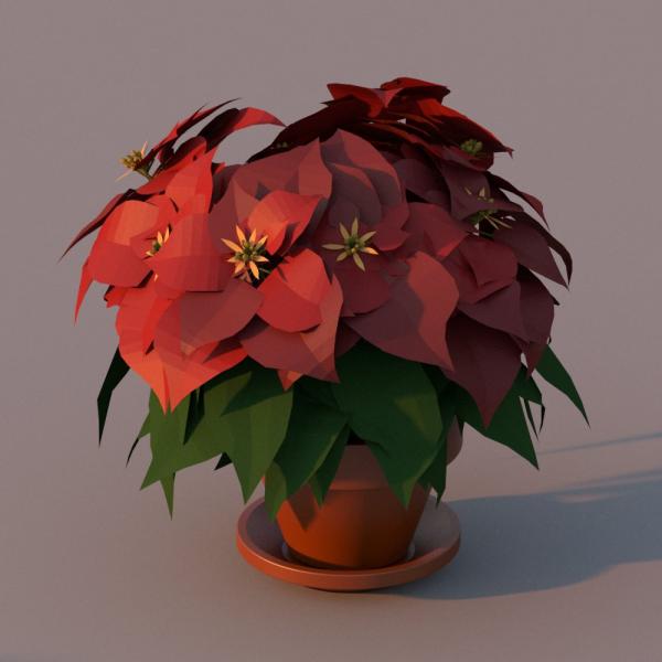 Object Parametric Poinsettia Plant