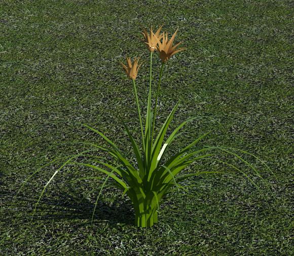 Object 3D Flower Lilly 1