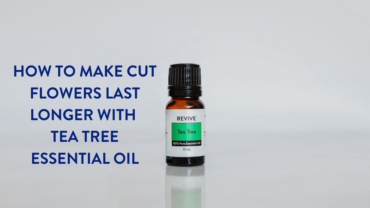 How To Make Fresh Cut Flowers Last Longer With Tea Tree Essential Oil