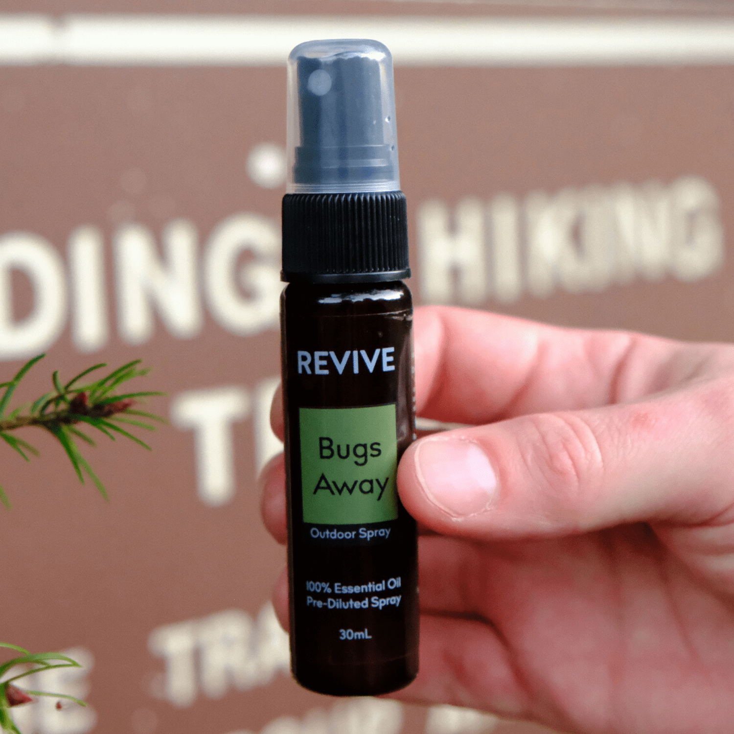 Best Essential Oils To Use As An Insect Repellent REVIVE