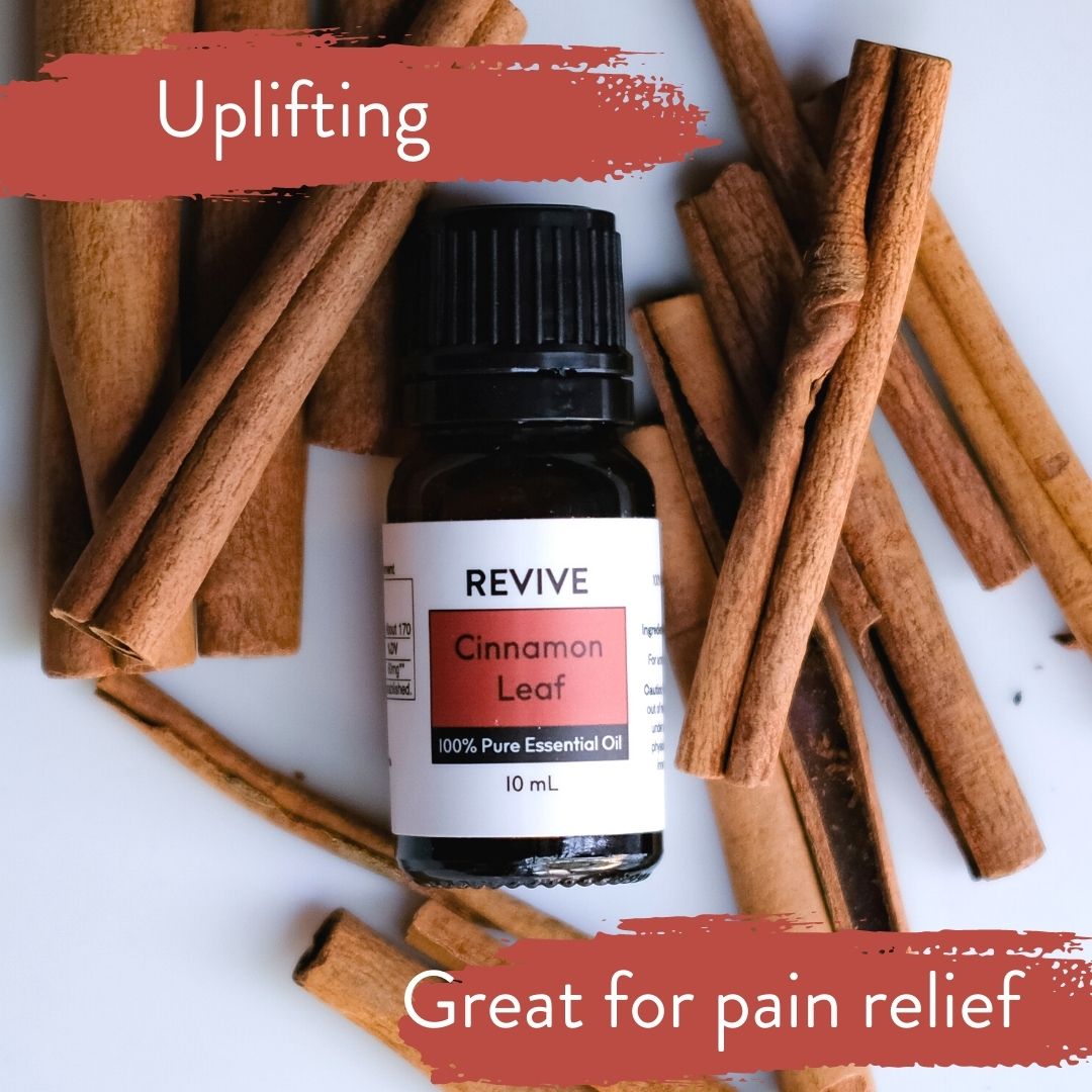 Cinnamon Leaf Essential Oil REVIVE Essential Oils