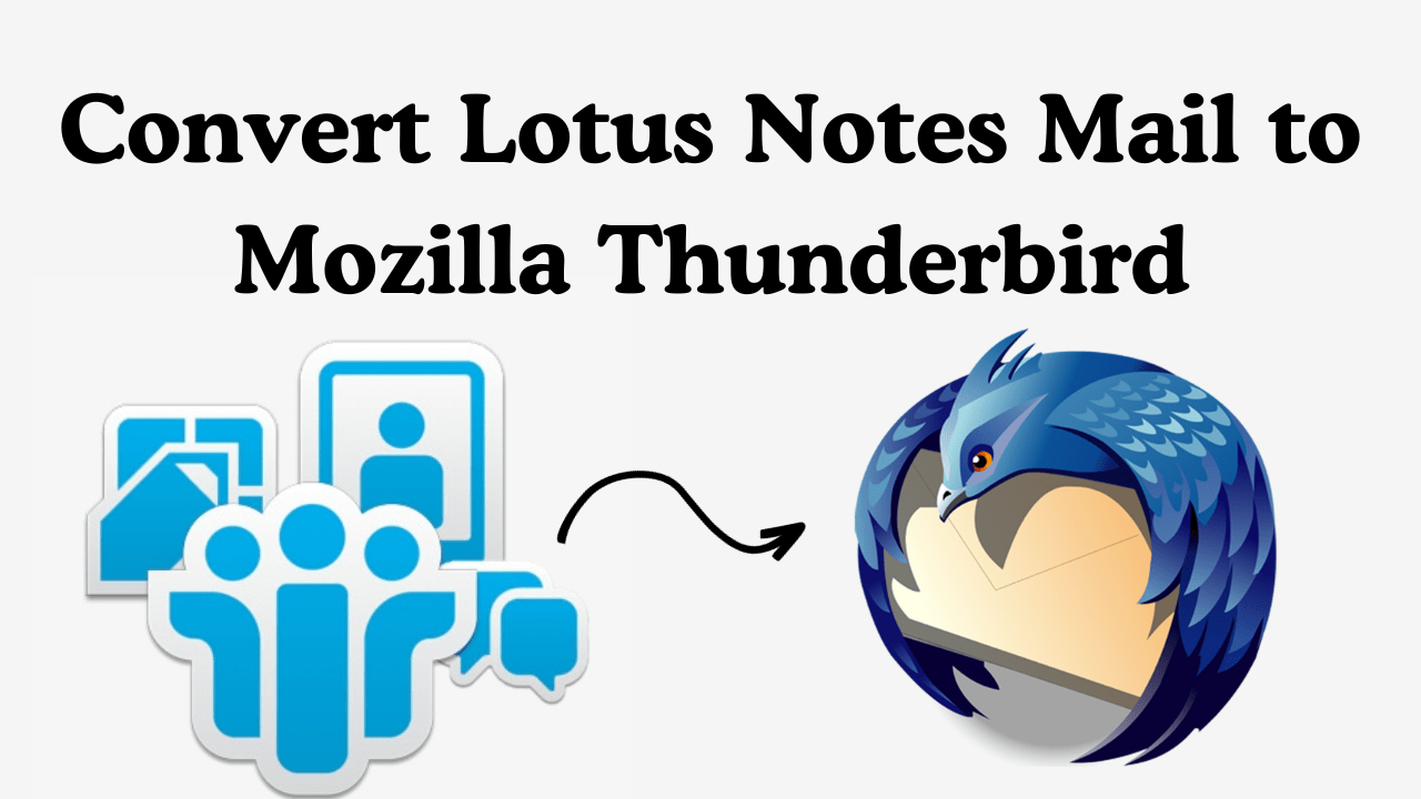 Convert Lotus Notes Mail to Thunderbird With All Mailbox Items