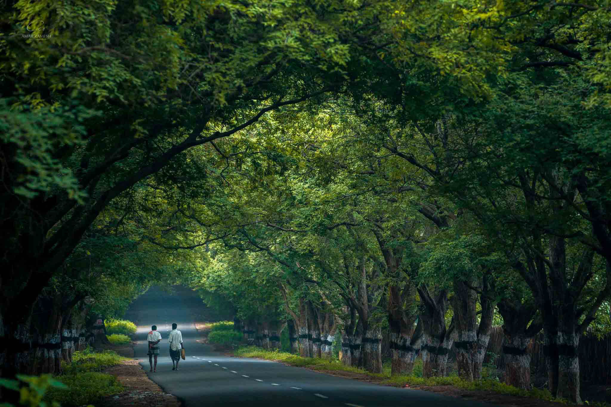 Why Choose Adventure Travel?