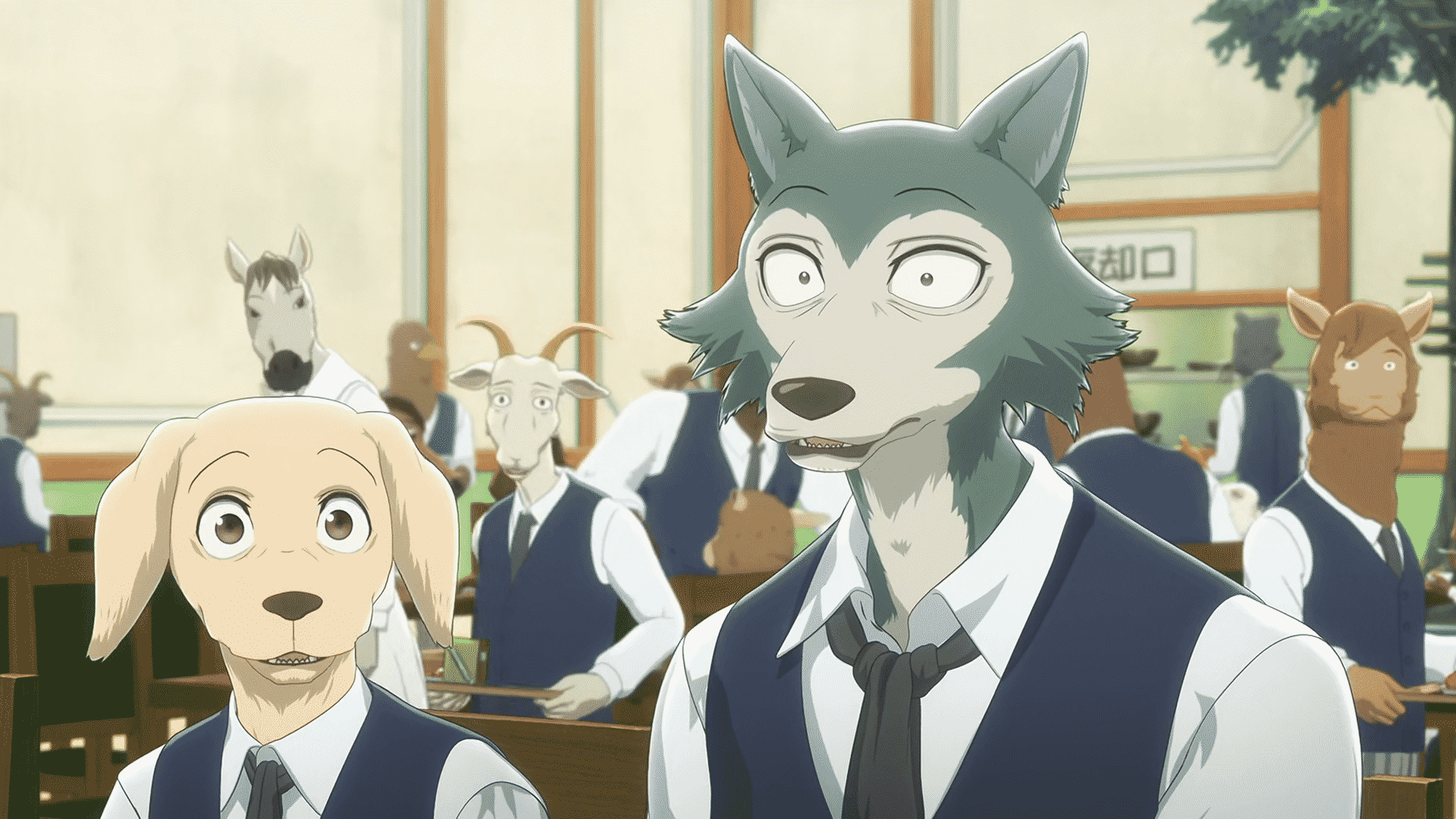 Bola oznámená 3. séria pre anime Beastars s nepotešujúcou správou