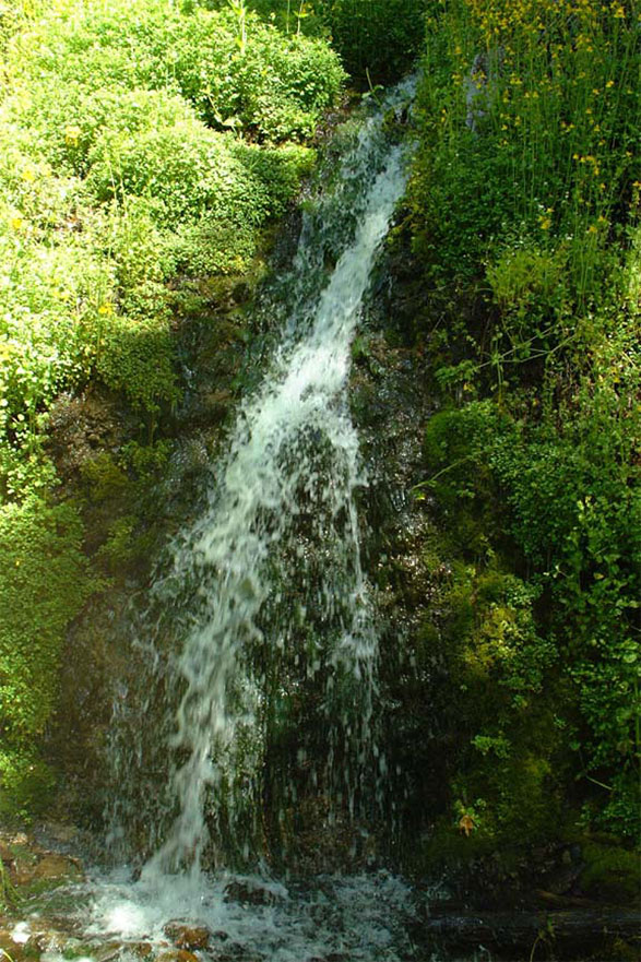 60 Acre Northern California Copco Lake Front Ranch