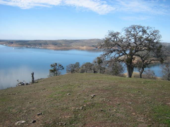 290 Acre Estate Ranch, Lake Don Pedro California