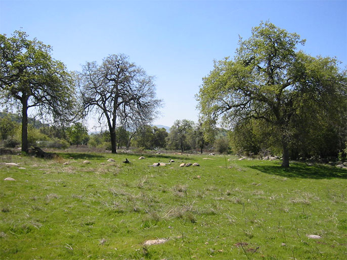 Ranches for sale. 445 Acre High Sierra Ranch in Springville near the