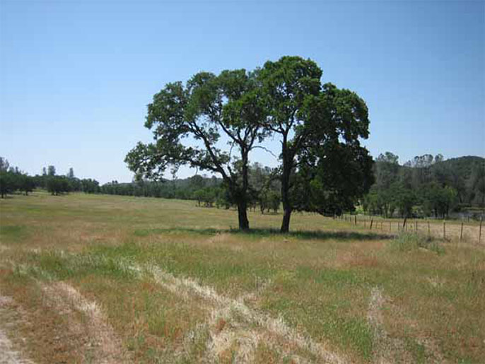 160 Acre Sierra Foothill Ranch, near Valley Springs, Hogan Lake and