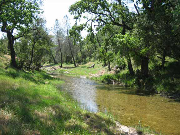 160 Acre Sierra Foothill Ranch, near Valley Springs, Hogan Lake and