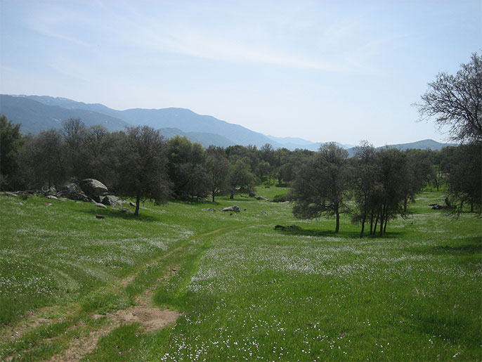Ranches for sale. 191 Acre High Sierra Ranch in Springville near the