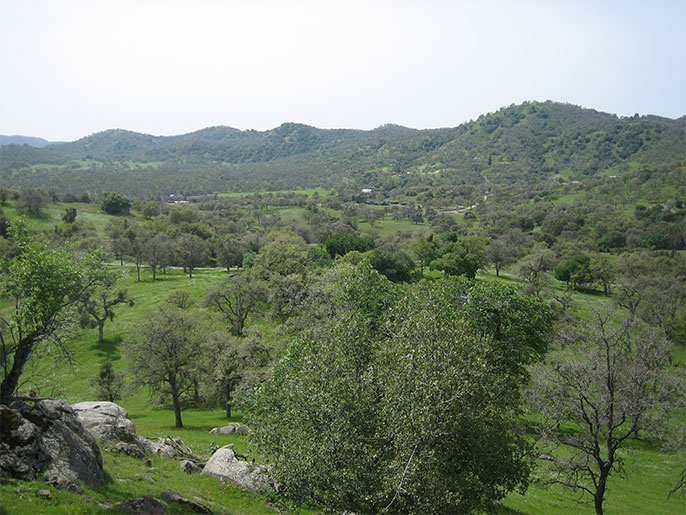 Ranches for sale. 191 Acre High Sierra Ranch in Springville near the