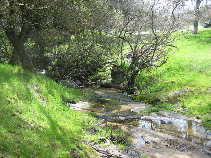 Ranches for sale. 191 Acre High Sierra Ranch in Springville near the